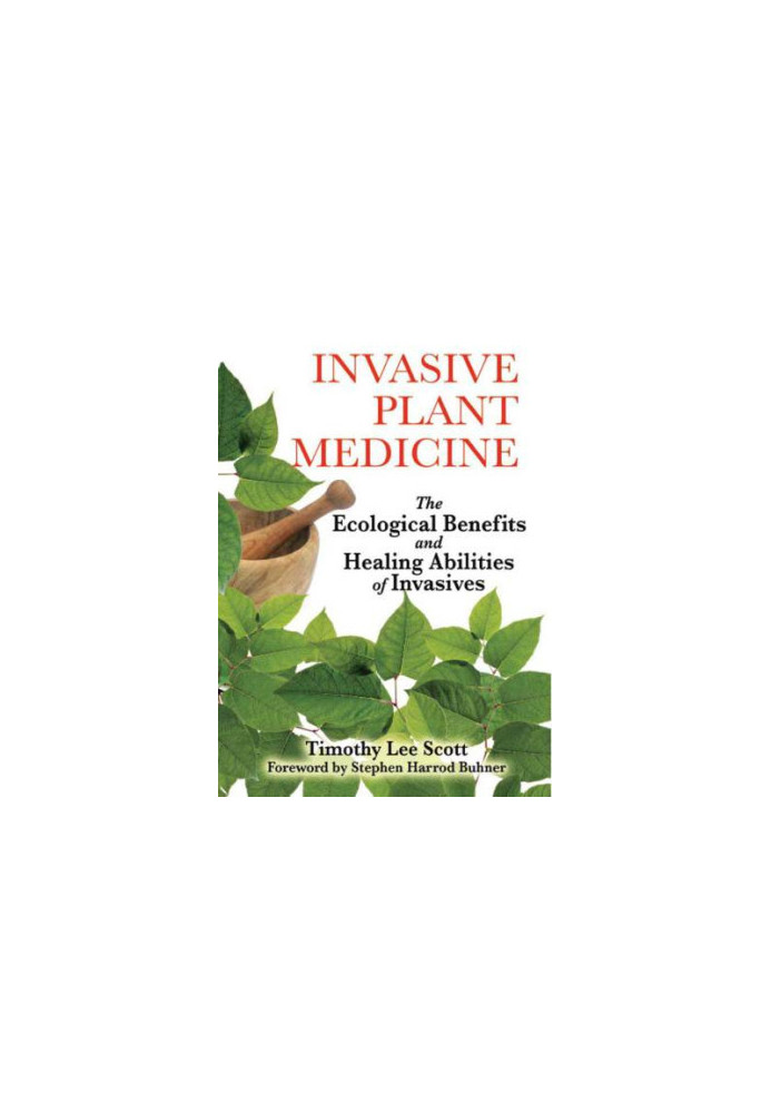 Invasive Plant Medicine: The Ecological Benefits and Healing Abilities of Invasives