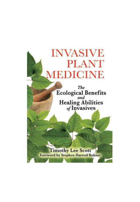 Invasive Plant Medicine: The Ecological Benefits and Healing Abilities of Invasives