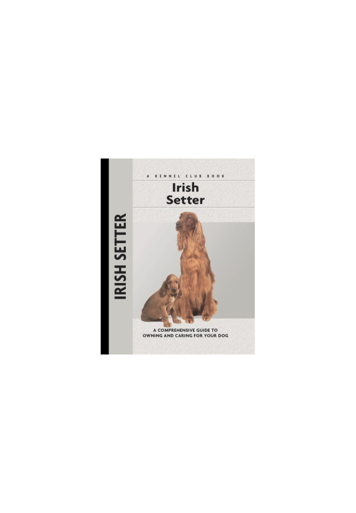Irish Setter