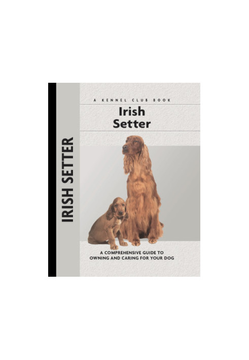 Irish Setter