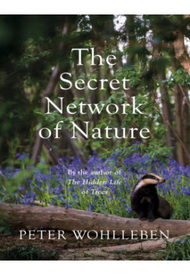 The Secret Network of Nature