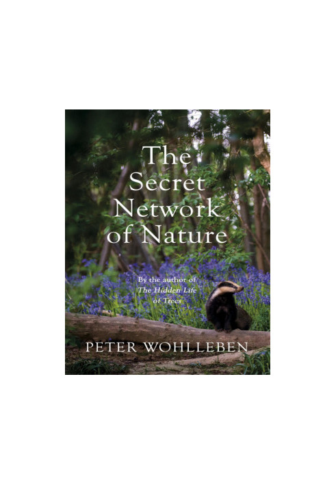 The Secret Network of Nature