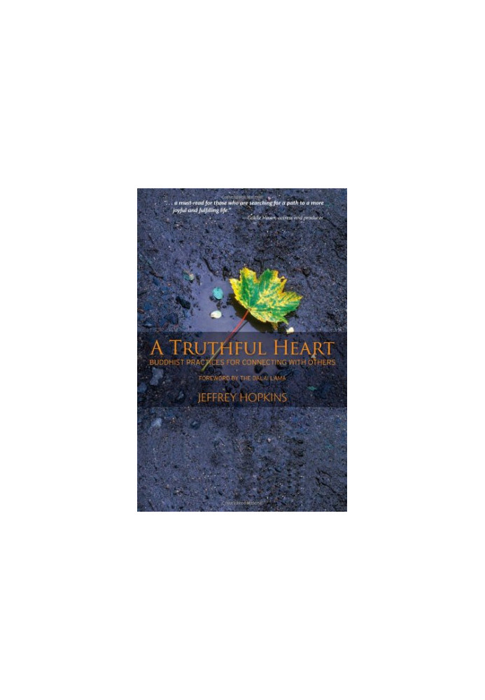 A Truthful Heart: Buddhist Practices for Connecting with Others