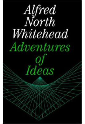 Adventures of Ideas
