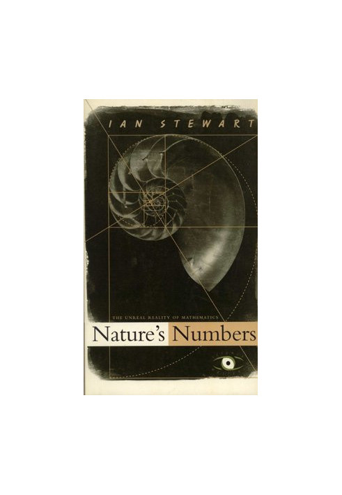 Nature's numbers: The unreal reality of mathematics