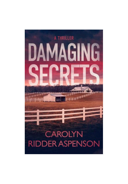 Damaging Secrets (Detective Rachel Ryder 1)