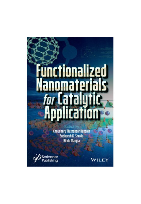 Functionalized Nanomaterials for Catalytic Application