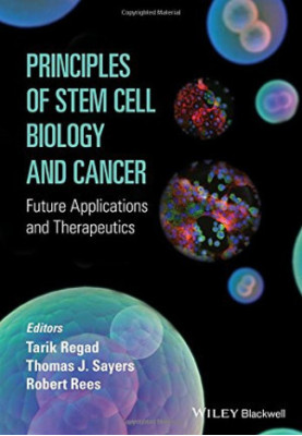 Principles of stem cell biology and cancer: future applications and therapeutics