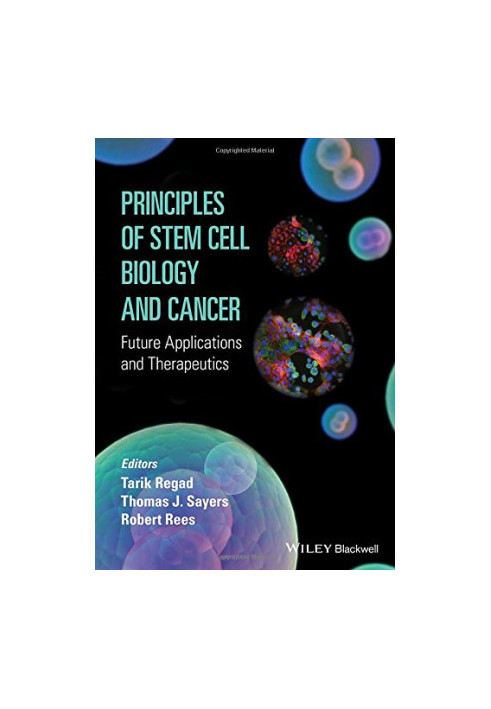 Principles of stem cell biology and cancer: future applications and therapeutics
