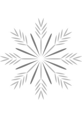The Christmas Spirit