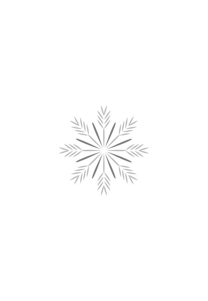 The Christmas Spirit