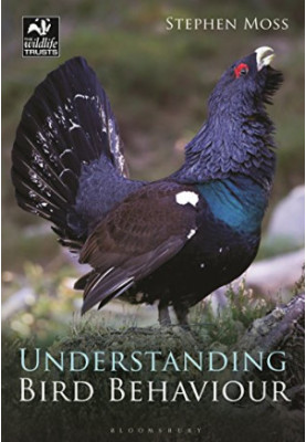 Understanding bird behaviour