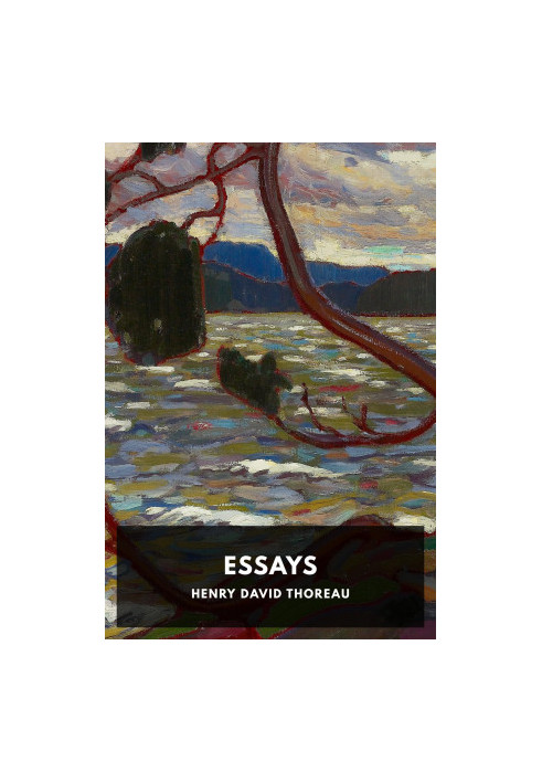 Essays