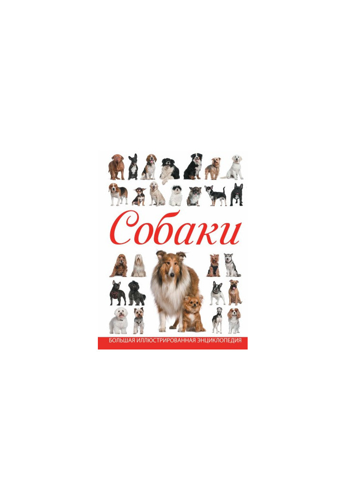 Dogs. Large illustrated encyclopedia
