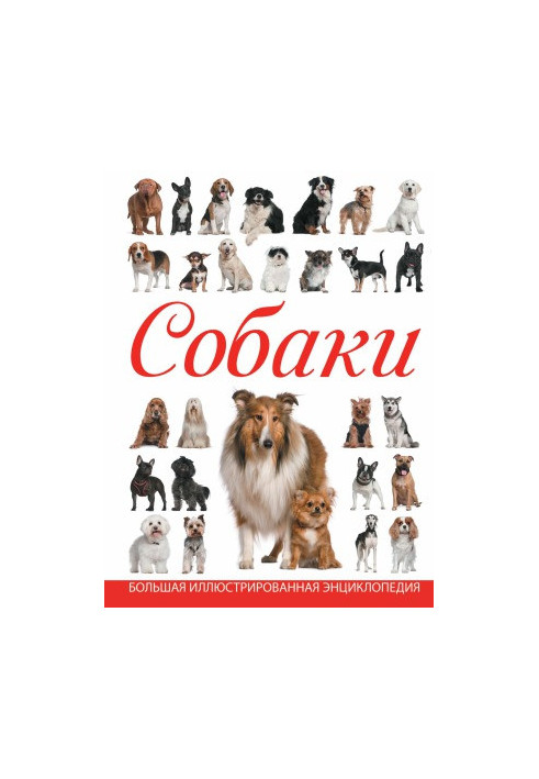 Dogs. Large illustrated encyclopedia