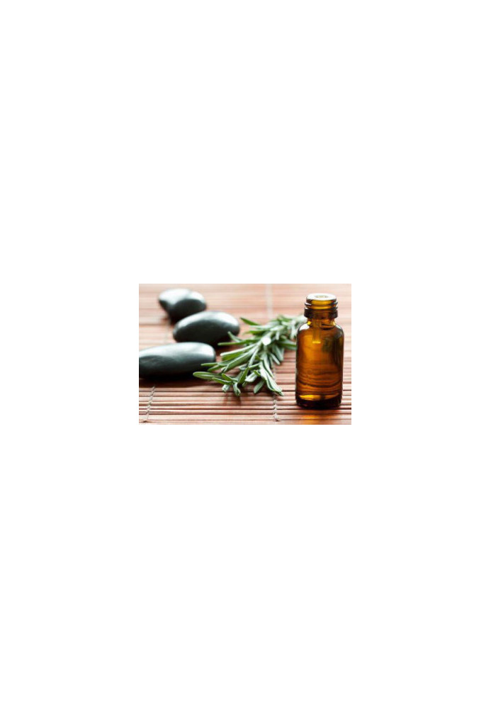 Essential Oils & Aromatherapy Reloaded: The Complete Step by Step Guide