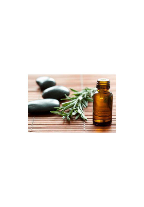 Essential Oils & Aromatherapy Reloaded: The Complete Step by Step Guide