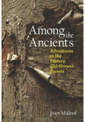 Among the Ancients : Adventures in the Eastern Old-Growth Forests