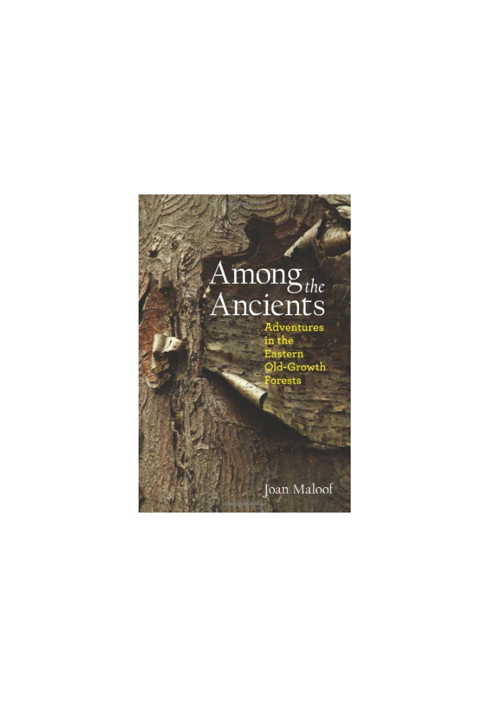Among the Ancients : Adventures in the Eastern Old-Growth Forests