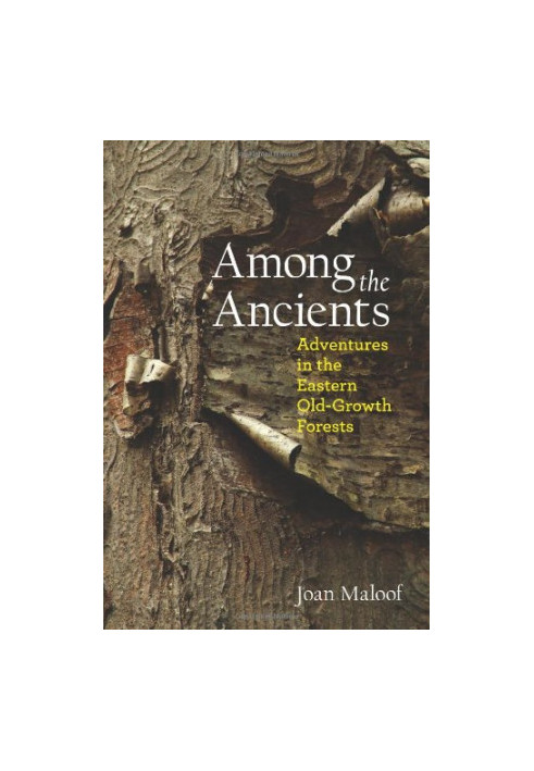 Among the Ancients : Adventures in the Eastern Old-Growth Forests