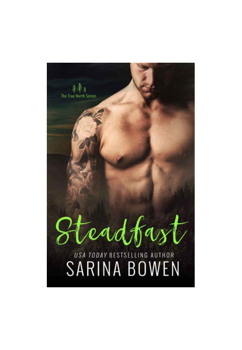 Steadfast: True North 2