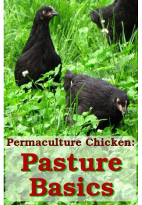 Pasture Basics: How to Keep the Grass Green and Your Chickens Happy (Permaculture Chicken Book 2)