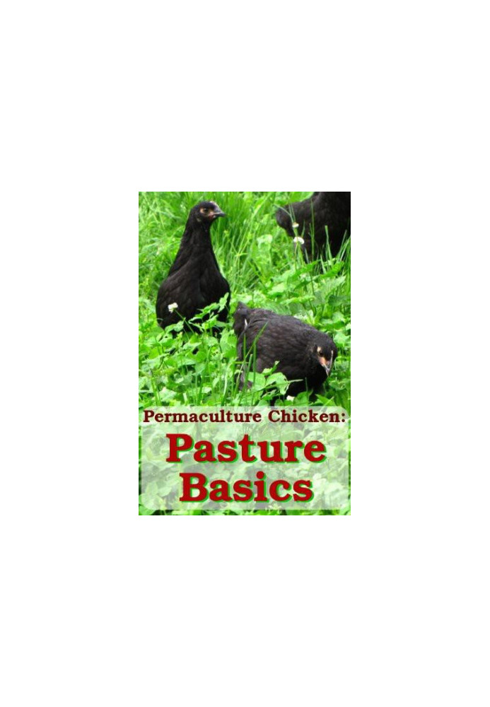 Pasture Basics: How to Keep the Grass Green and Your Chickens Happy (Permaculture Chicken Book 2)