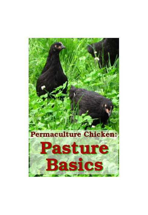 Pasture Basics: How to Keep the Grass Green and Your Chickens Happy (Permaculture Chicken Book 2)