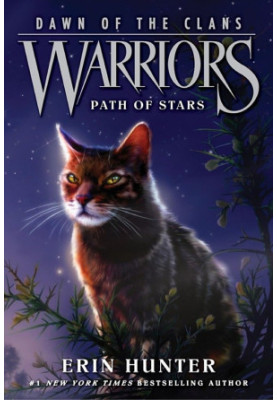 Warriors: Dawn of the Clans 6: Path of Stars