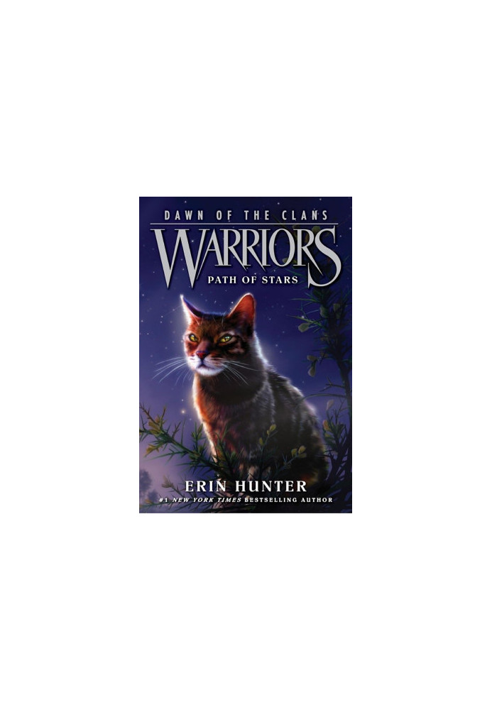 Warriors: Dawn of the Clans 6: Path of Stars
