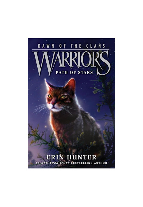 Warriors: Dawn of the Clans 6: Path of Stars