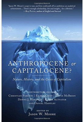 Anthropocene or Capitalocene?: Nature, History, and the Crisis of Capitalism