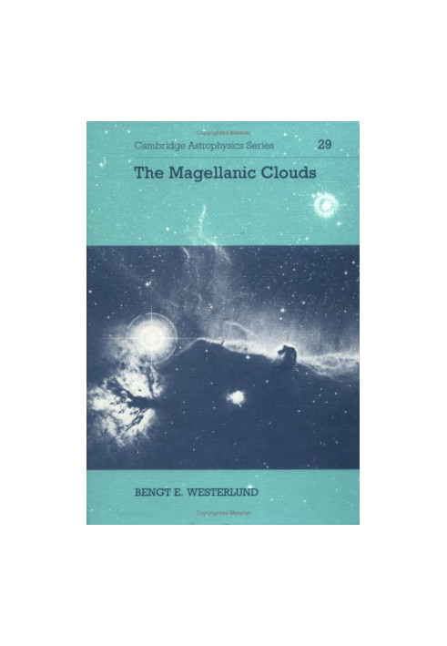 The Magellanic Clouds