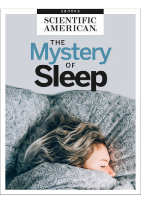 The Mystery of Sleep, 2022 Edition