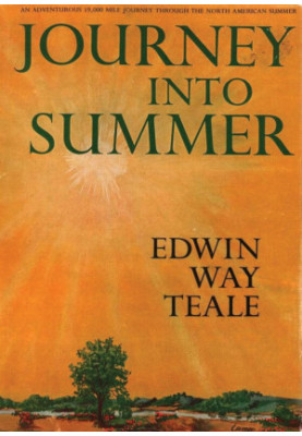 Journey Into Summer