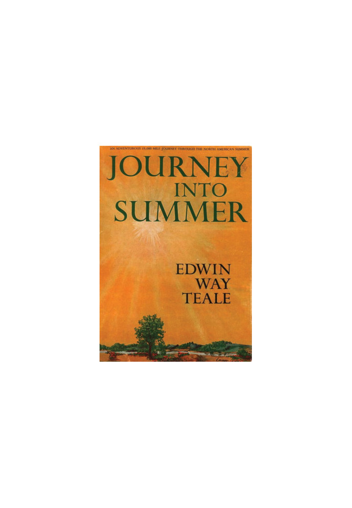 Journey Into Summer