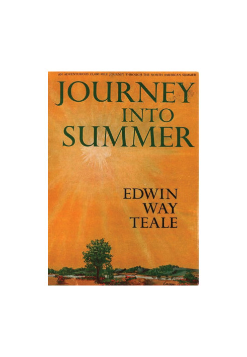 Journey Into Summer