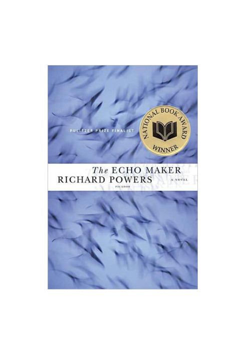 The Echo Maker