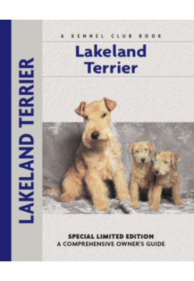 Lakeland Terrier