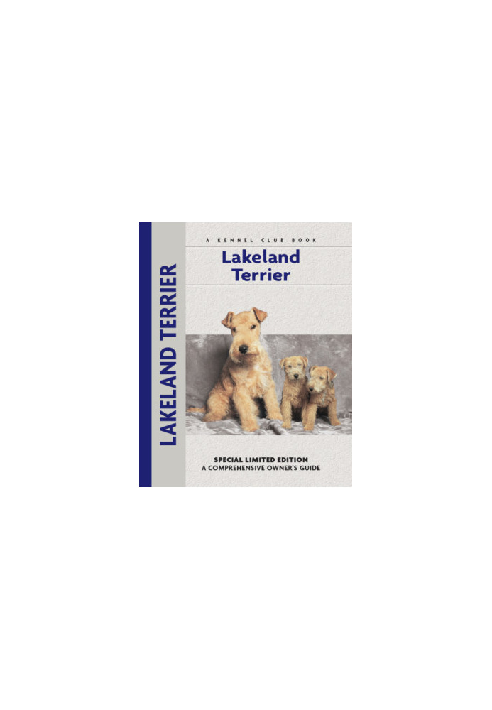 Lakeland Terrier