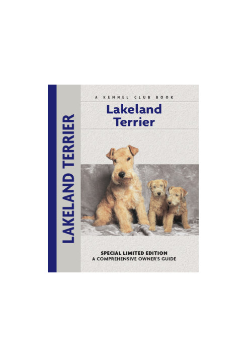 Lakeland Terrier
