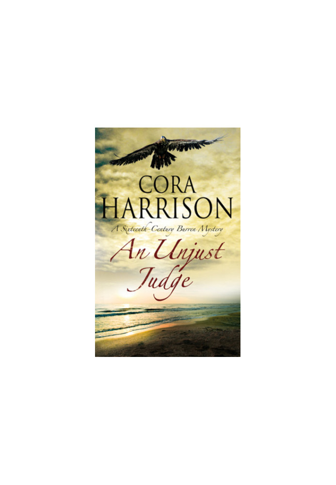 An Unjust Judge (A Burren Mystery, 14)