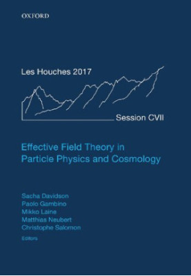 Effective Field Theory in Particle Physics and Cosmology