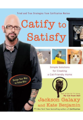 Catify to Satisfy: Simple Solutions for Creating a Cat-Friendly Home