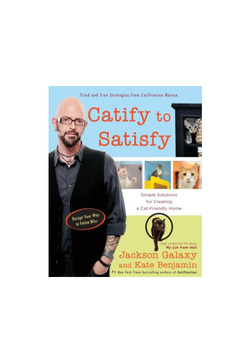 Catify to Satisfy: Simple Solutions for Creating a Cat-Friendly Home