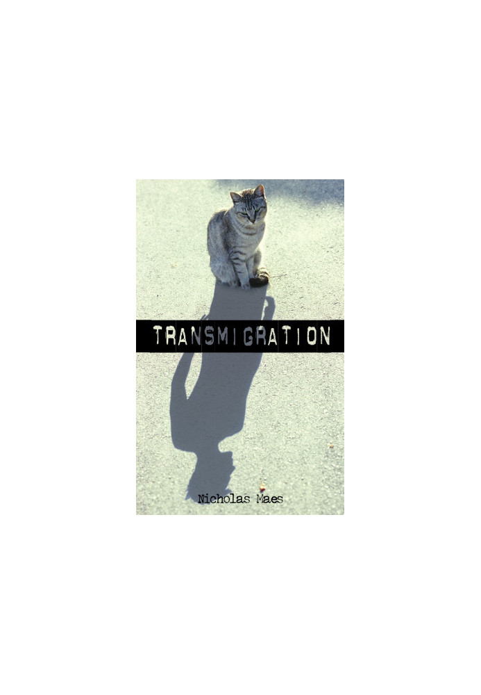 [A Felix Taylor Adventure 01] • Transmigration