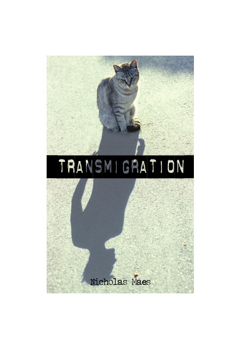 [A Felix Taylor Adventure 01] • Transmigration