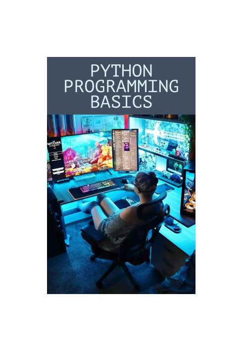 Python Programming Basics