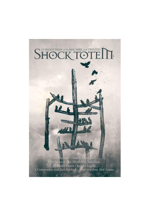 Shock Totem 5