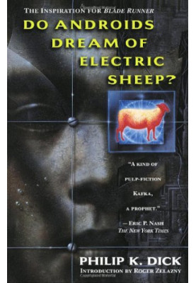 Do Androids Dream of Electric Sheep?